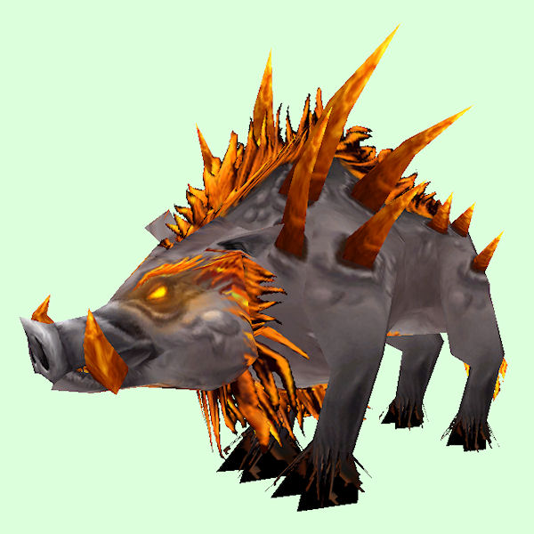 Grey & Orange Felboar