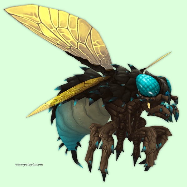 Blue & Bronze Corpsefly