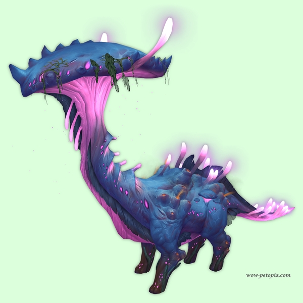 Blue Fungal Strider