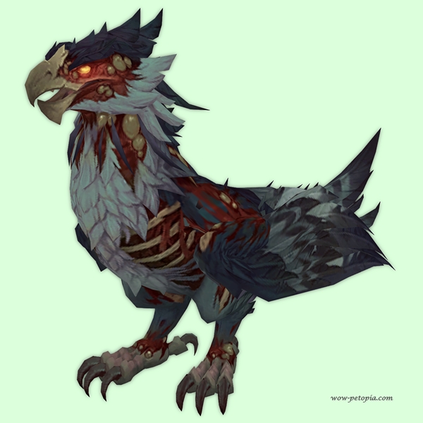 Undead Dark Grey Amani Eagle