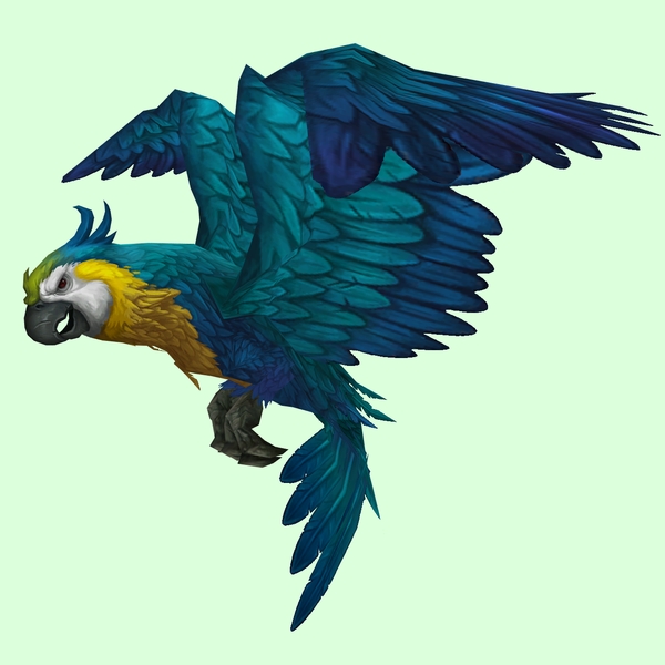 Blue Parrot