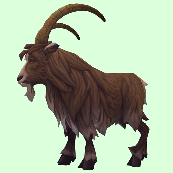 Brown Goat