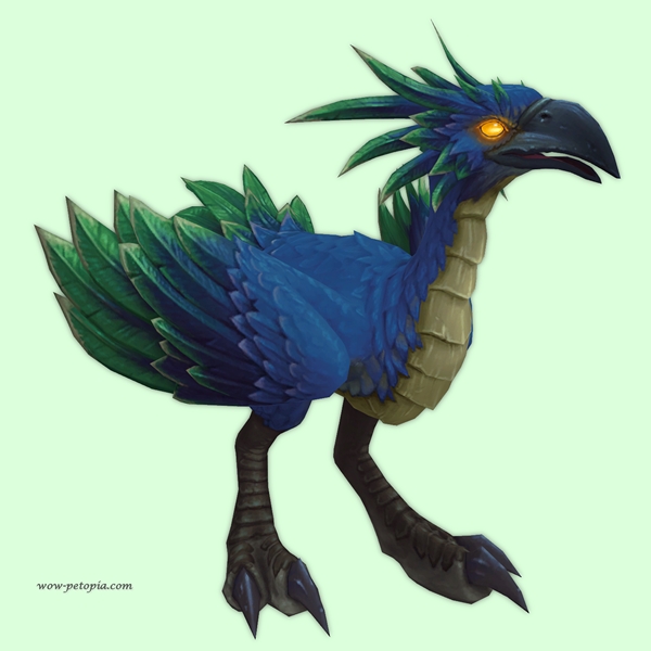 Blue Hawkstrider
