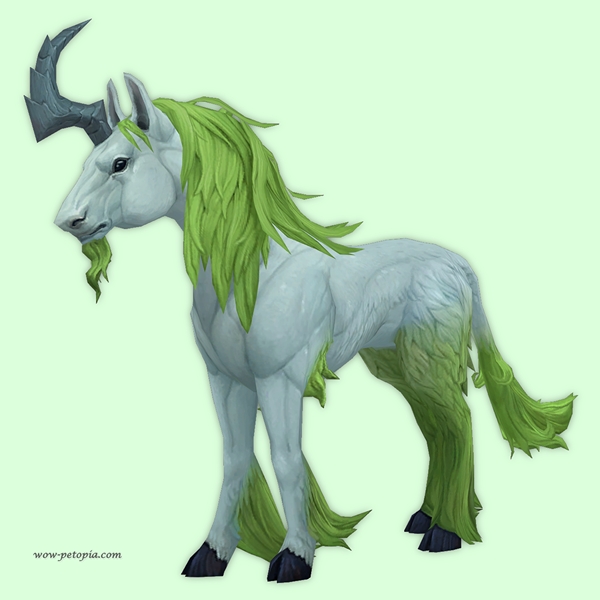 Chartreuse Dreamrunner