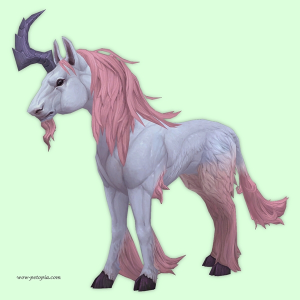 Strawberry Dreamrunner