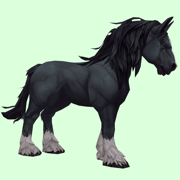 Black Horse w/ White Socks & Long Mane