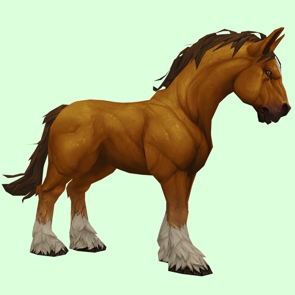 Bright Chestnut Horse