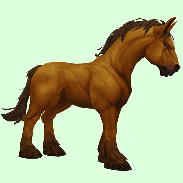 Light Chestnut Horse