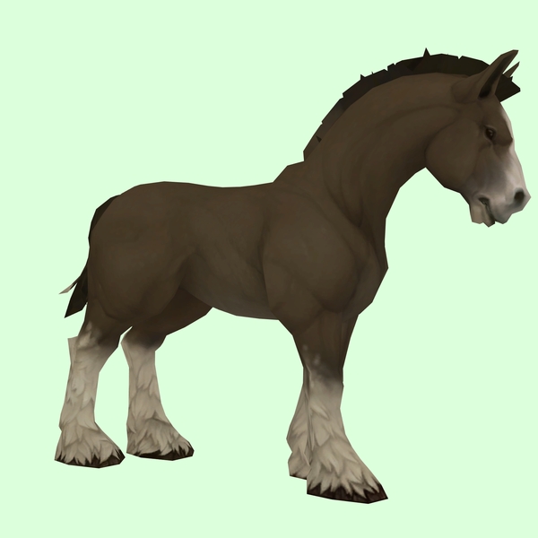 Dark Bay Horse w/ White Socks & Short Mane/Tail