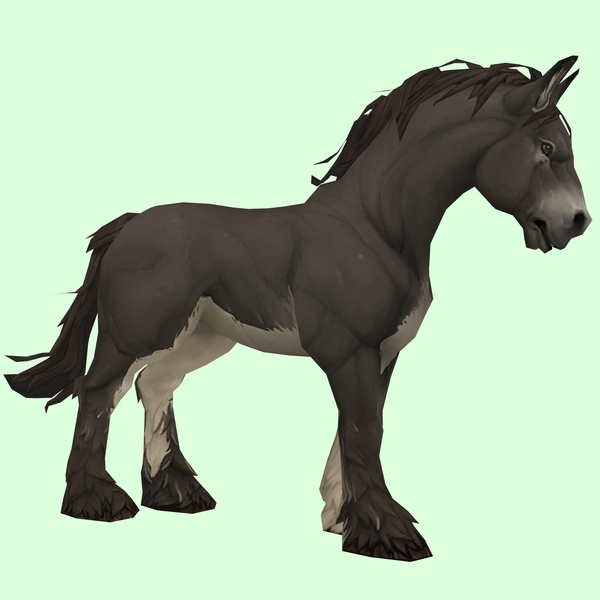 Dark Brown Horse w/ White Belly