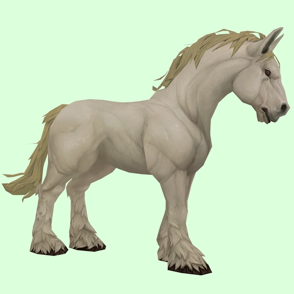 Light Palomino Horse