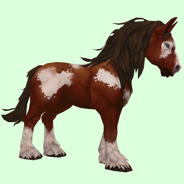 Chestnut Overo Horse w/ Long Mane