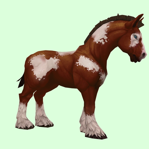 Brown & White Horse w/ Short Mane/Tail