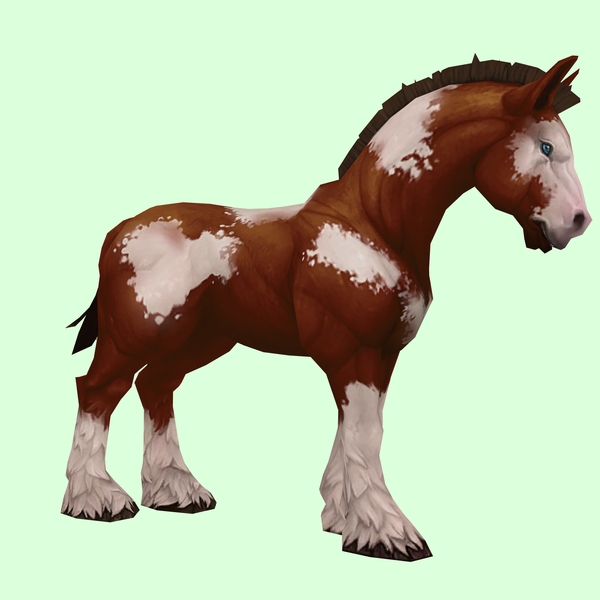 Brown & White Horse w/ Stockings & Short Mane/Tail