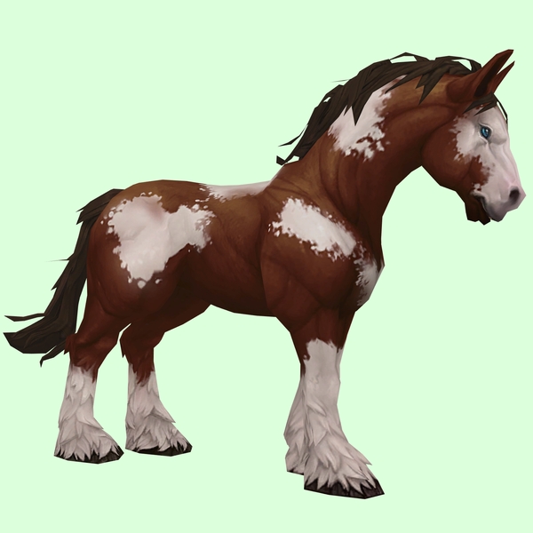 Brown Overo Horse