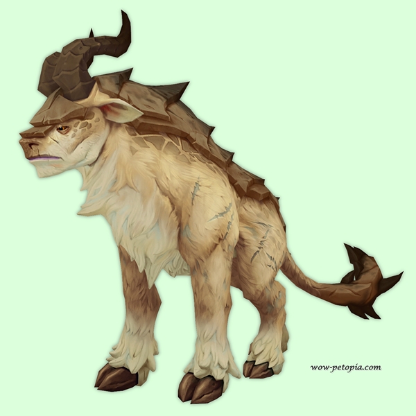 Fawn Slateback