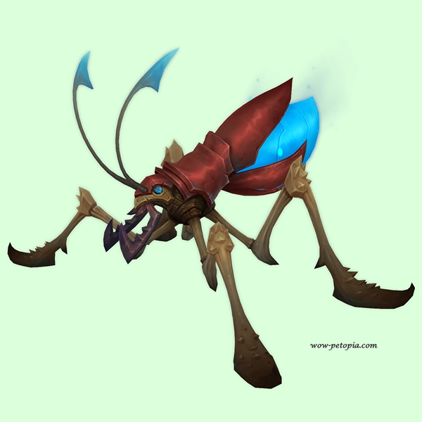 Red & Blue Lapbug