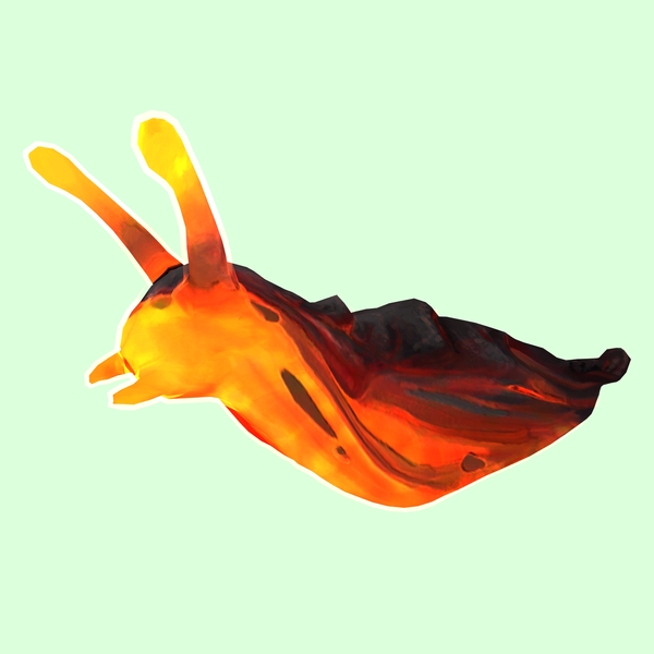 Orange Magma Slug