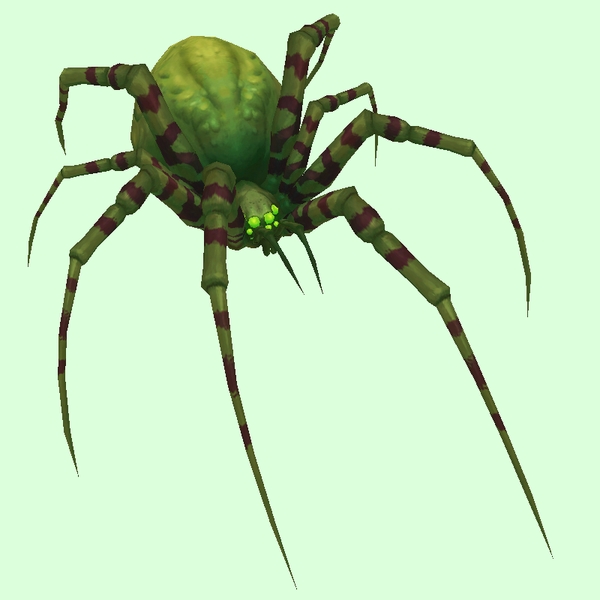 Dark Green Spider