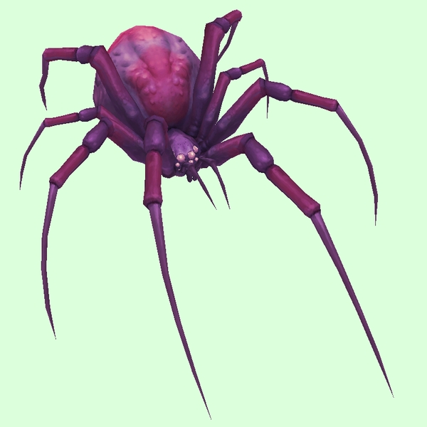 Purple Spider