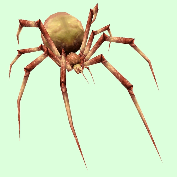 Classic Tan Spider