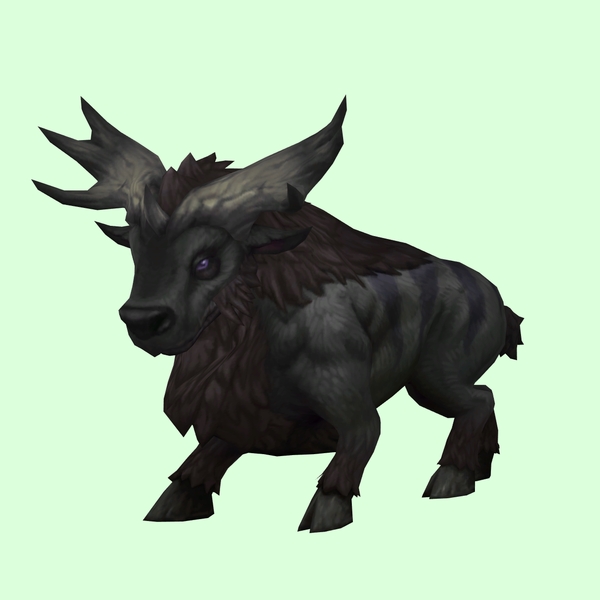 Black Bruffalon w/ Small Antlers & No Nose Horn