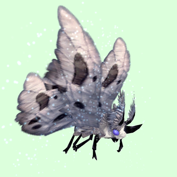 Grey Moth