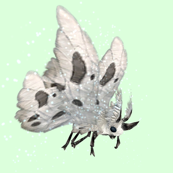 White Moth