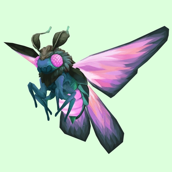 Pink Dustmoth w/ Teal Body