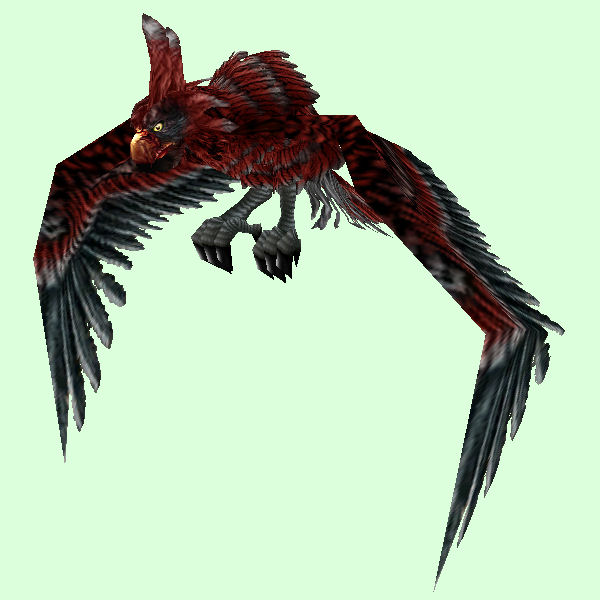 Dark Red Parrot