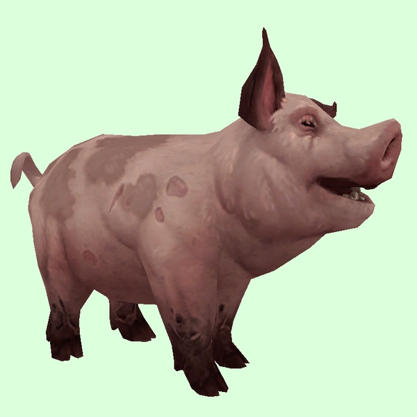Spotted Dark Pink Pig