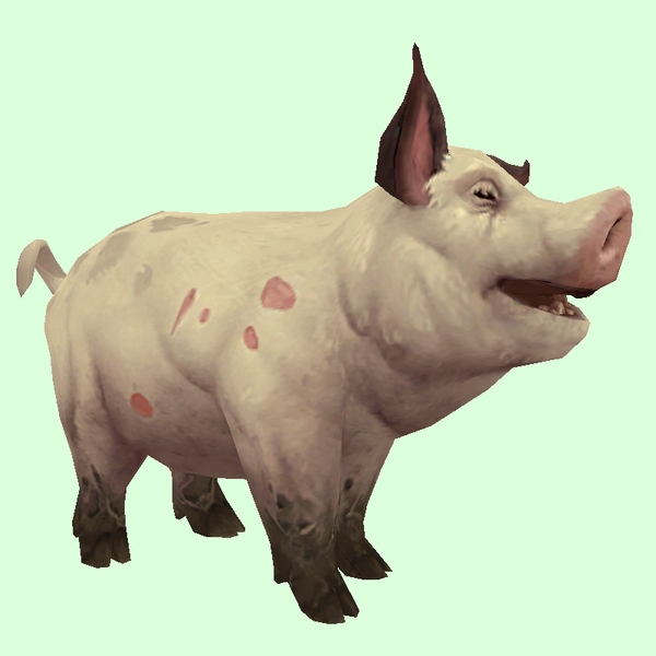 Pale Pink Pig