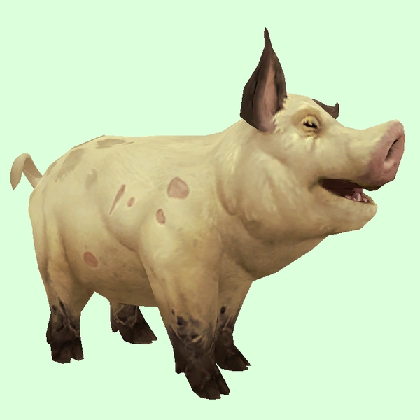 Pale Yellow Pig