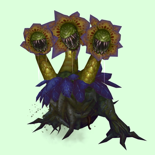 Yellow, Green, Purple & Indigo Mandragora