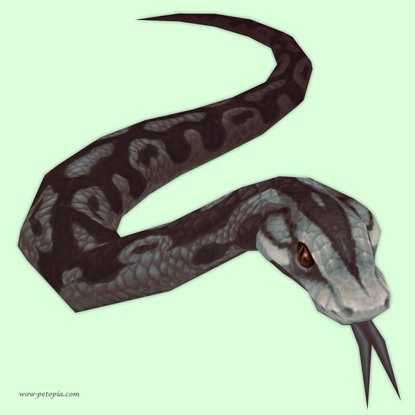 Grey Python