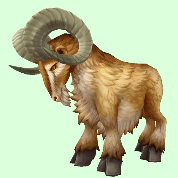 Brown Ram