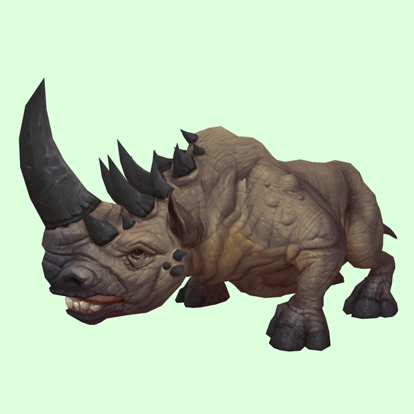 Brown Rhino