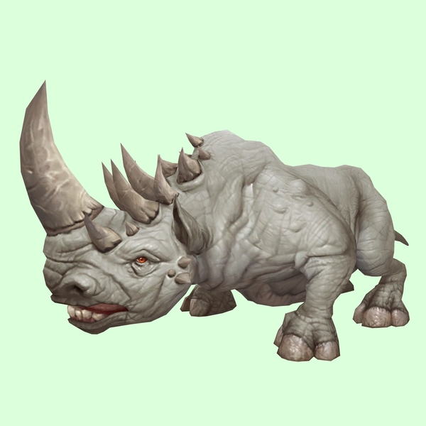 Albino Rhino