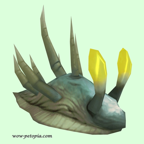 Grey & Yellow Sea Slug