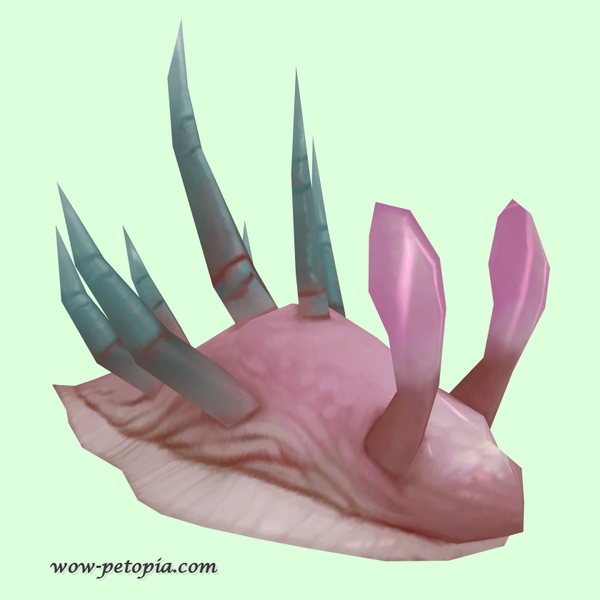 Pink Sea Slug