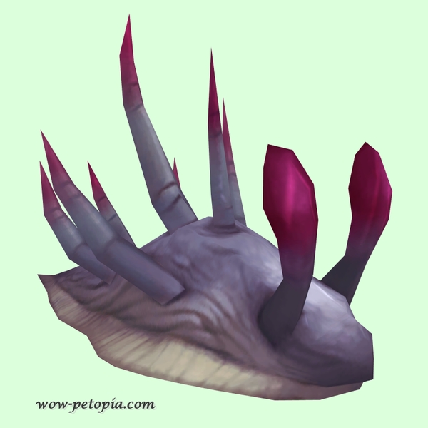 Purple Sea Slug