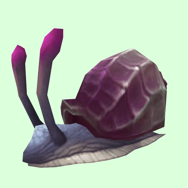Purple Sea Snail