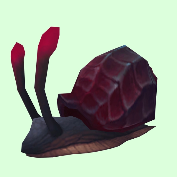 Burgundy & Black Sea Snail