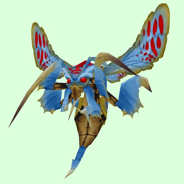 Blue & Red Boss Wasp