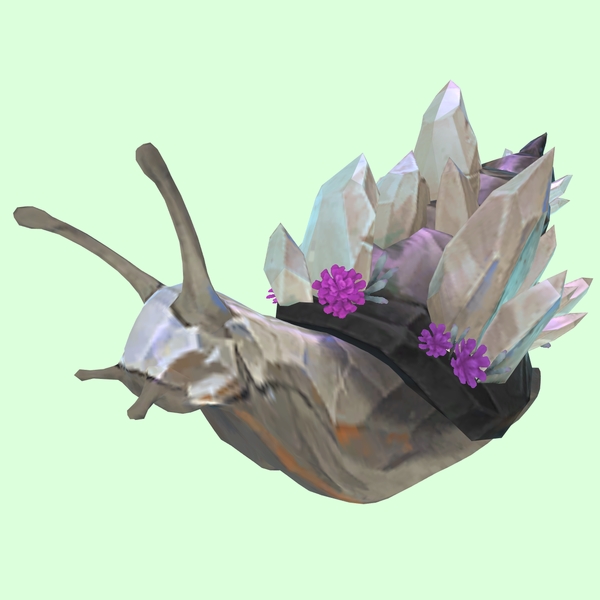 Silver-Grey Crystalline Snail