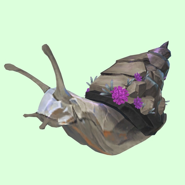 Silver-Grey Rock Snail