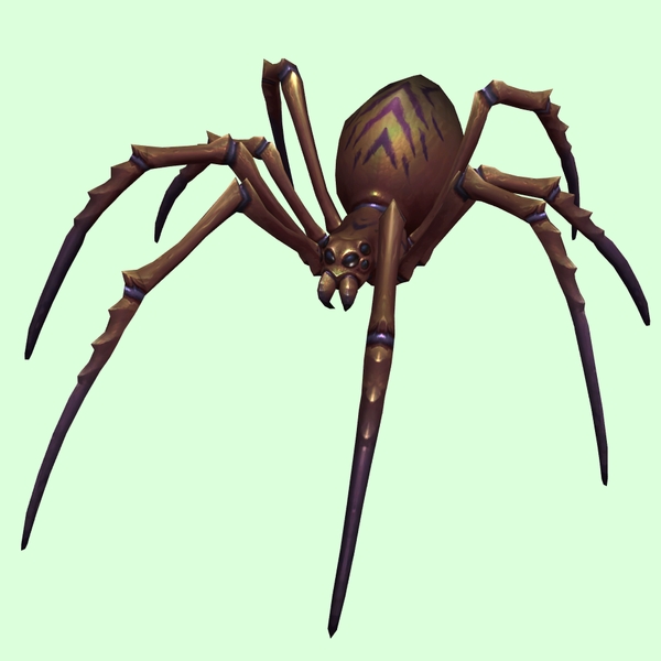 Brown Spider