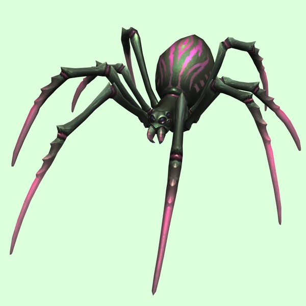 Dark Green & Pink Spider