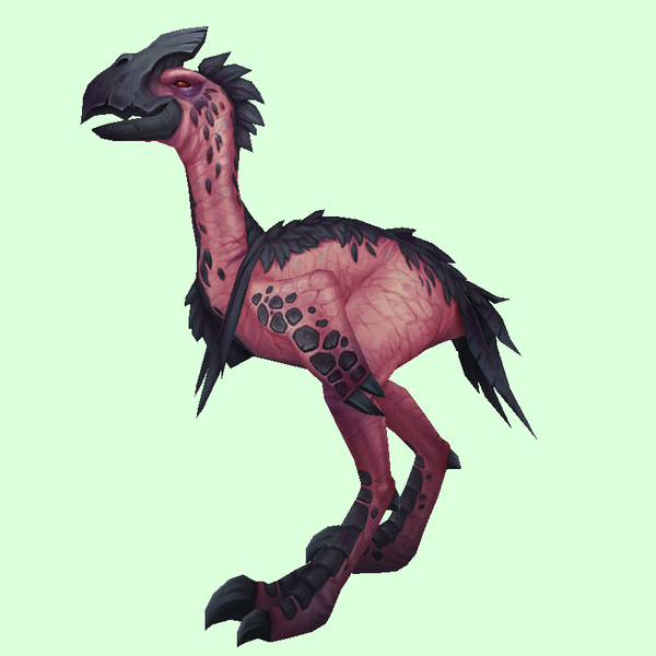 Pink Tallstrider