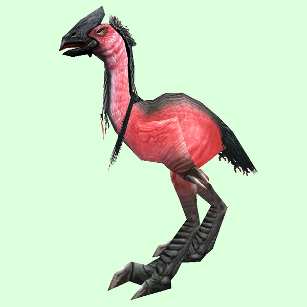 Pink Tallstrider